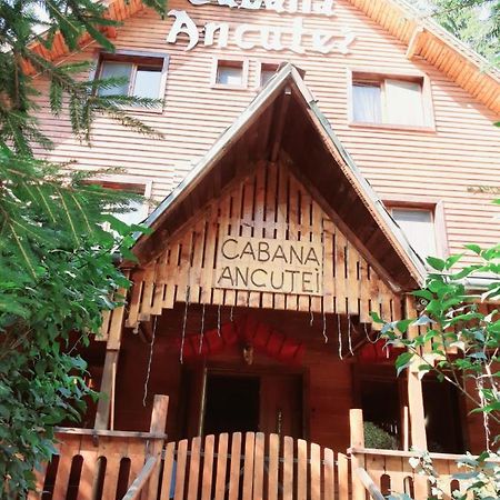 Cabana Ancutei Rucar  Bagian luar foto