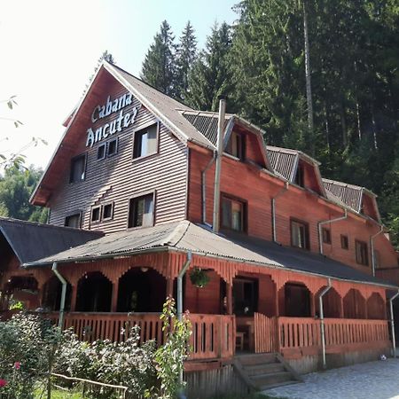 Cabana Ancutei Rucar  Bagian luar foto
