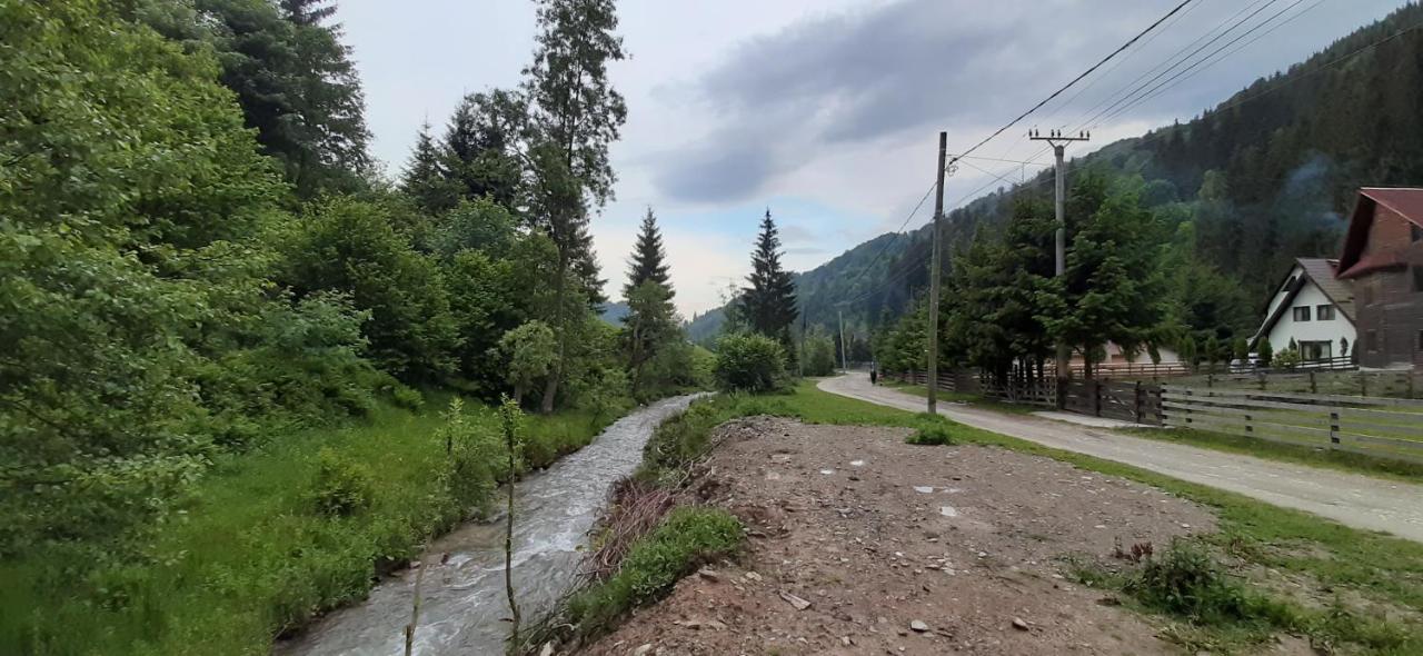 Cabana Ancutei Rucar  Bagian luar foto