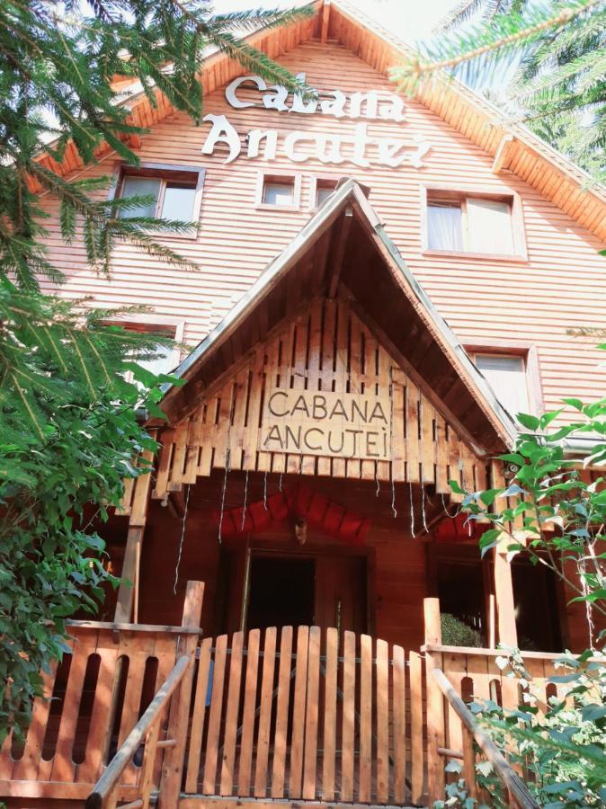 Cabana Ancutei Rucar  Bagian luar foto