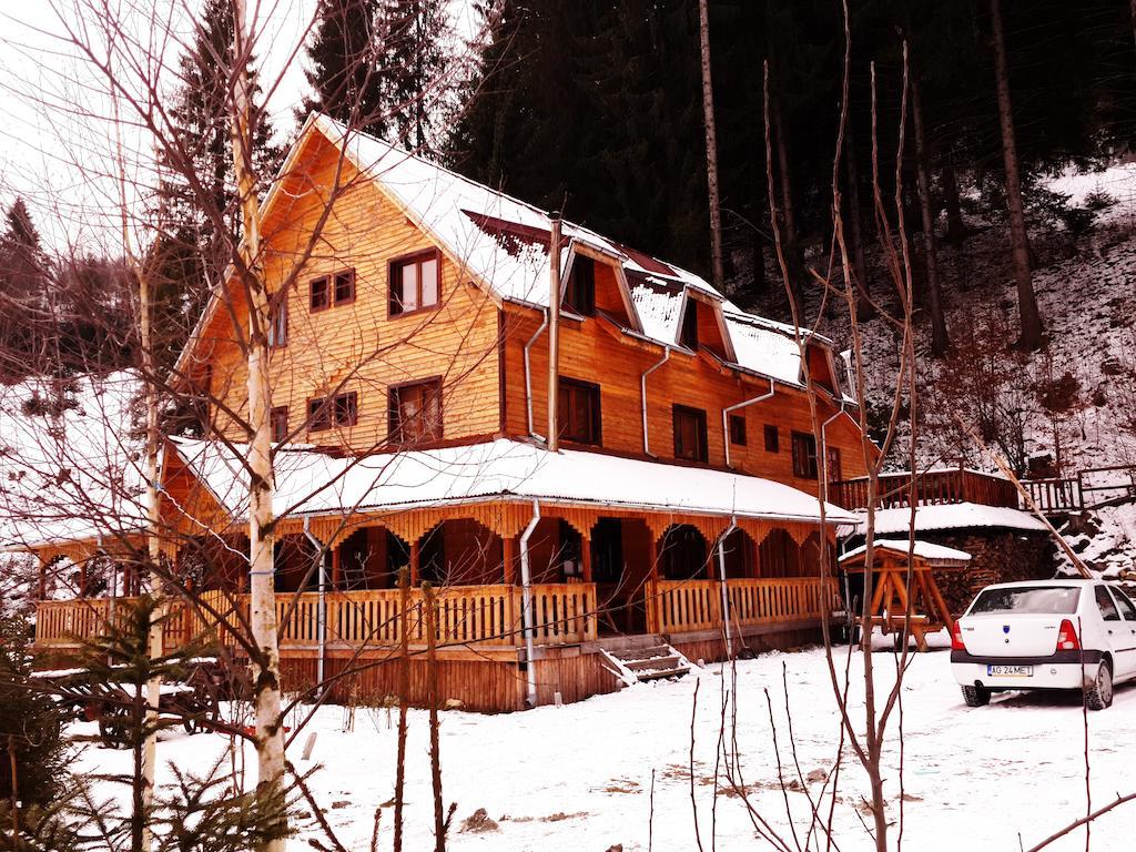 Cabana Ancutei Rucar  Bagian luar foto