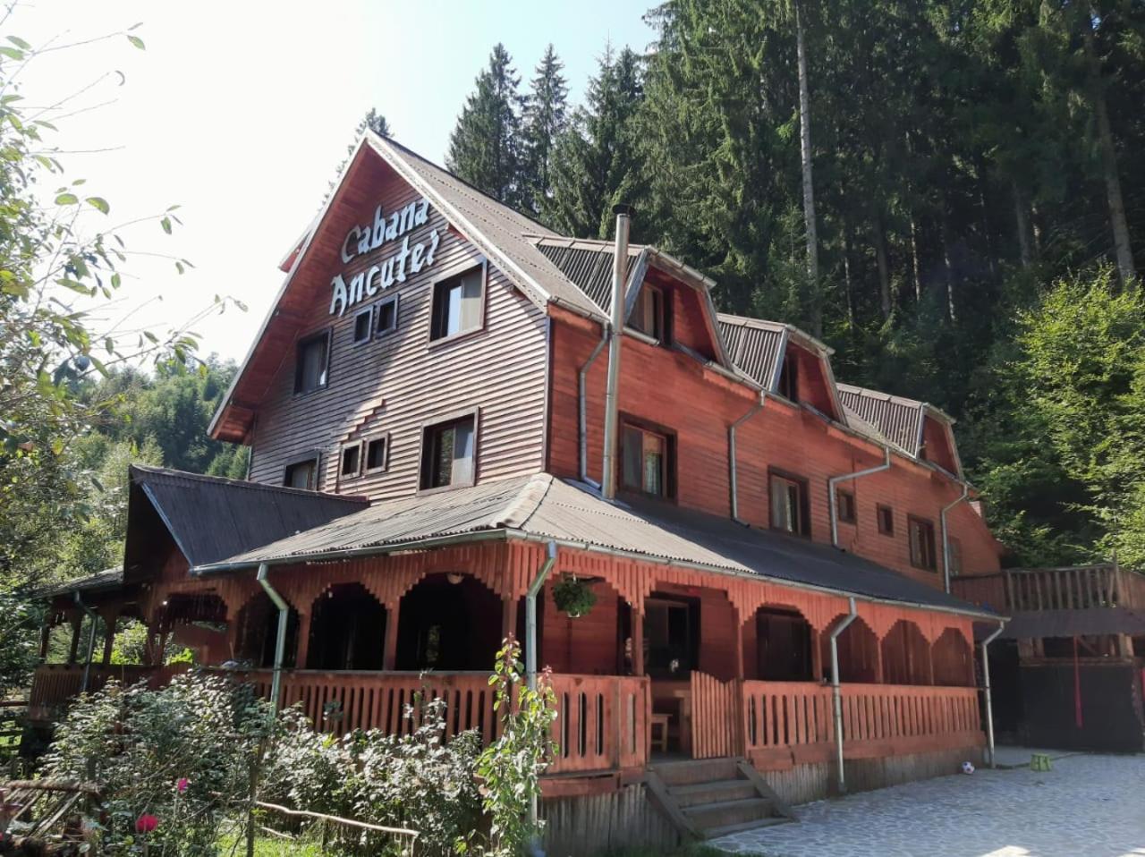 Cabana Ancutei Rucar  Bagian luar foto