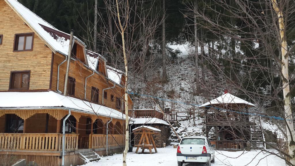 Cabana Ancutei Rucar  Bagian luar foto