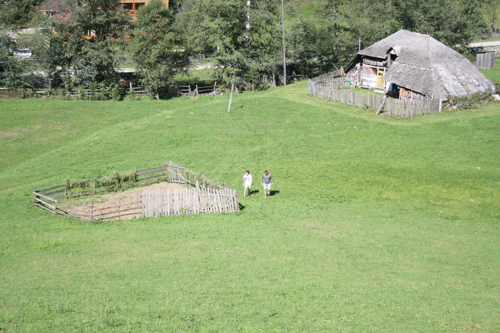 Cabana Ancutei Rucar  Bagian luar foto