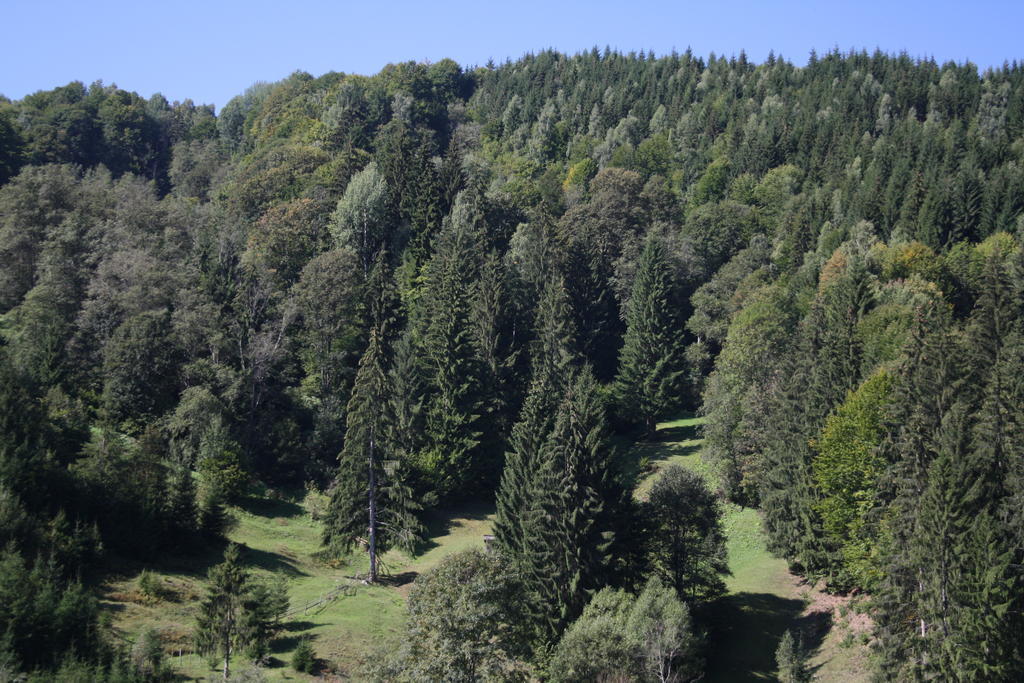 Cabana Ancutei Rucar  Bagian luar foto
