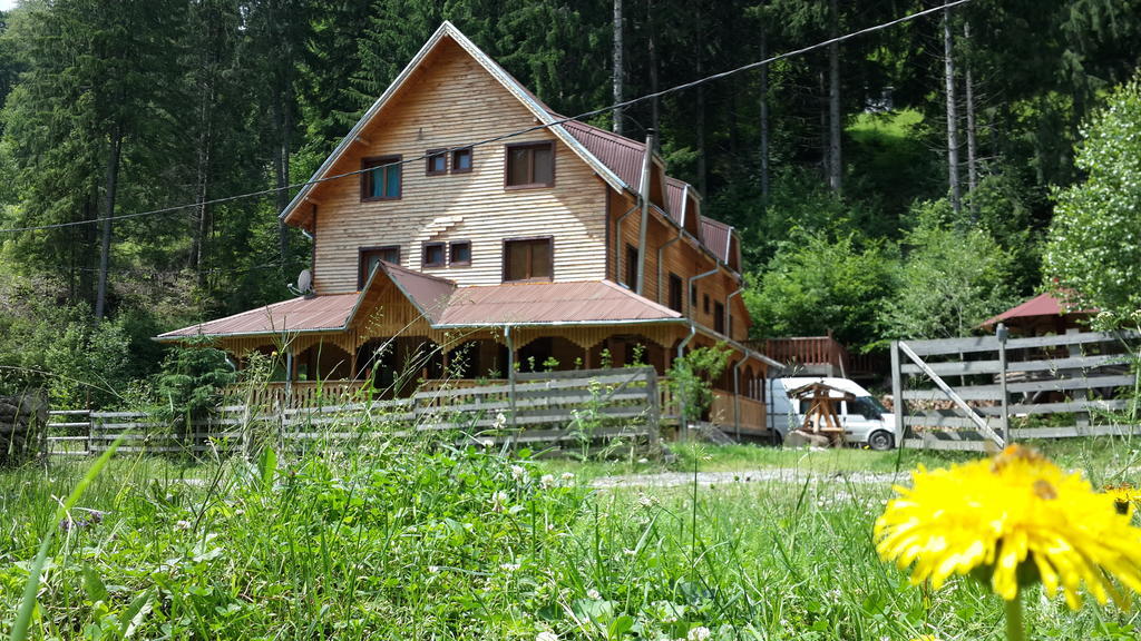 Cabana Ancutei Rucar  Bagian luar foto