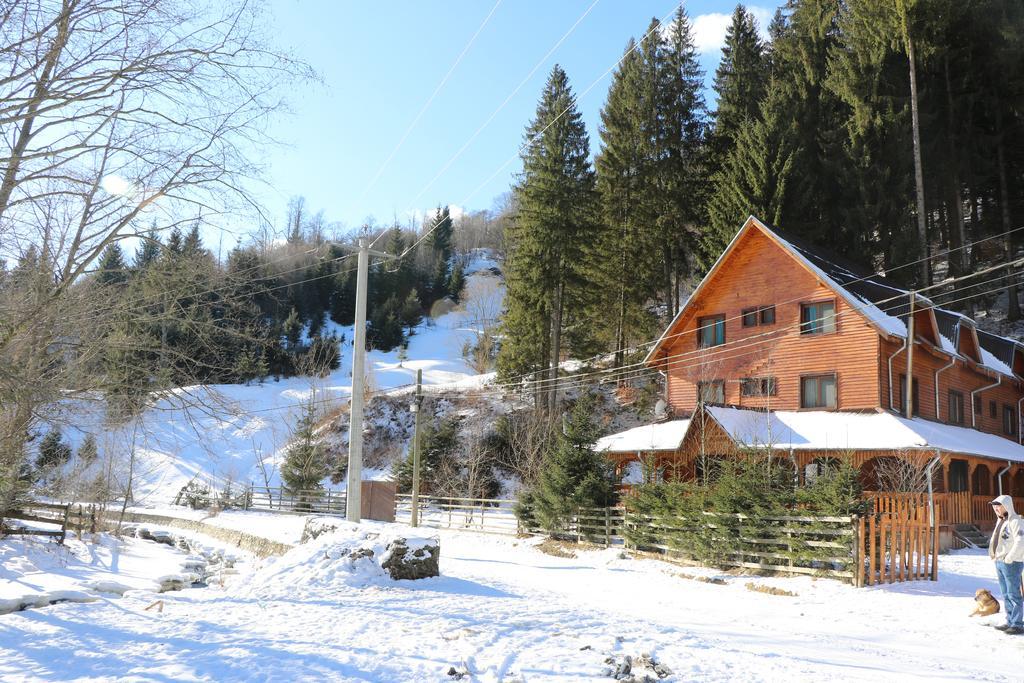 Cabana Ancutei Rucar  Bagian luar foto