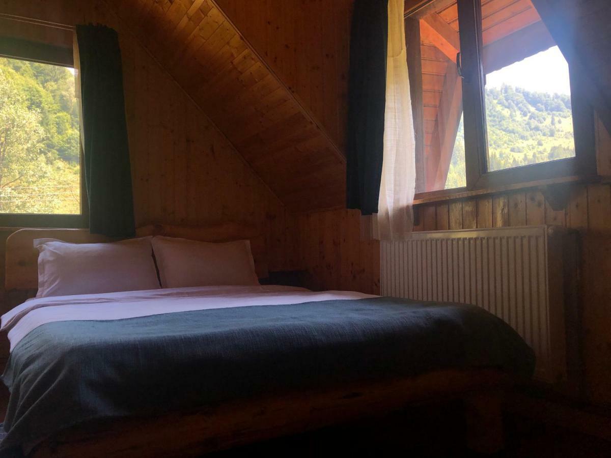 Cabana Ancutei Rucar  Bagian luar foto